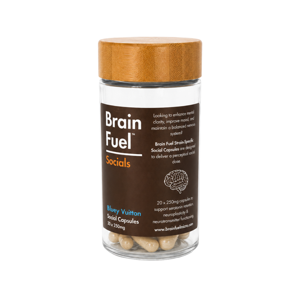 BRAIN FUEL™ SOCIALS
